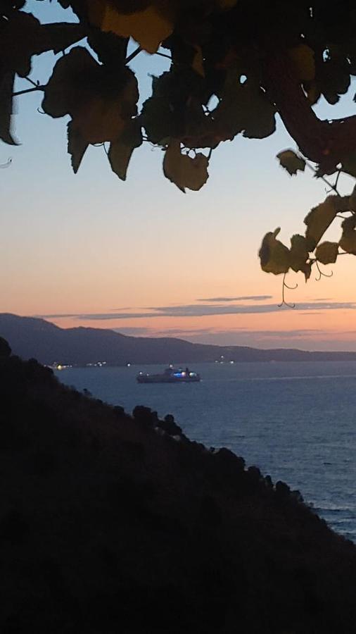 Vila Orizzonte Blue Sarandë 외부 사진